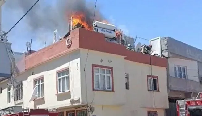 Adana’da yangında 5 inek telef oldu