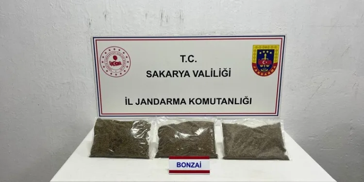 Adana’da yangında 5 inek telef oldu