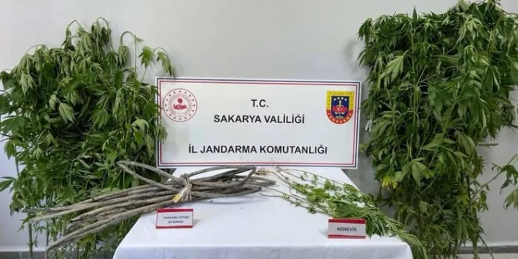Adana’da yangında 5 inek telef oldu