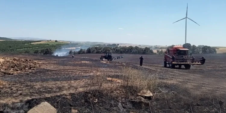 Silivri’de tarım arazisi yangını