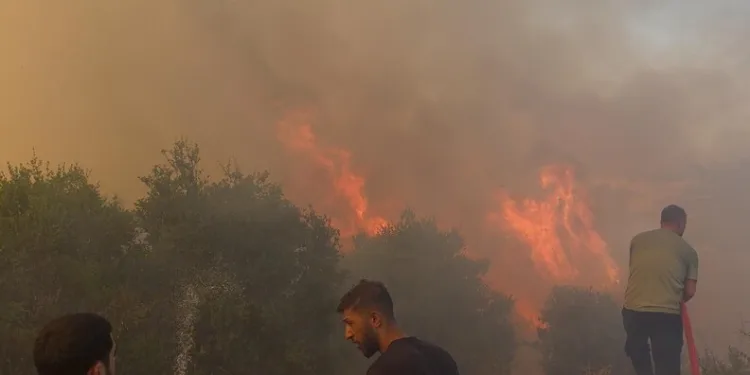 Silivri’de tarım arazisi yangını