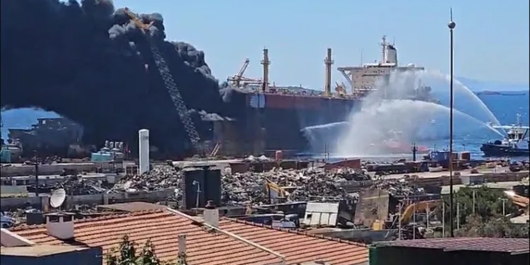 Silivri’de tarım arazisi yangını
