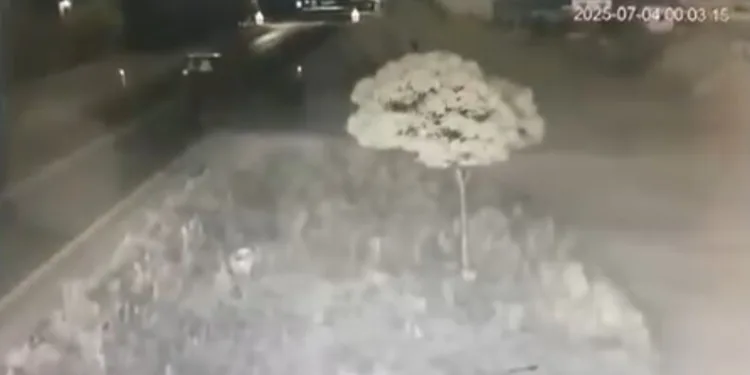 Güreşçinin dirseği kırıldı