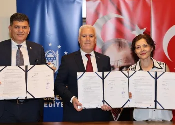 Bursa