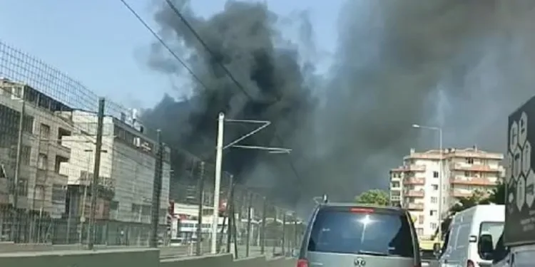 Bursa