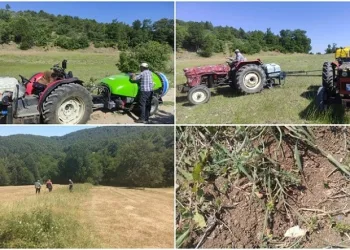Bursa’da çekirge istilasına karşı erken önlem