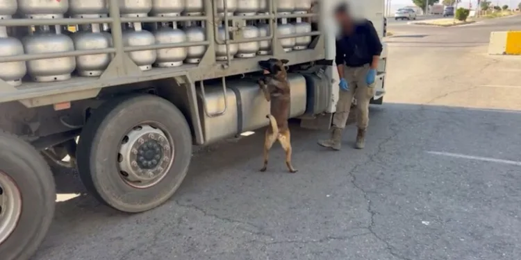 İzmir’de 44 yılla aranan hükümlü yakalandı