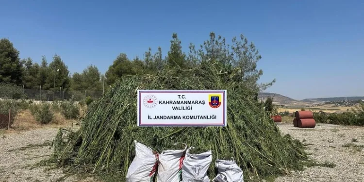 İzmir’de 44 yılla aranan hükümlü yakalandı
