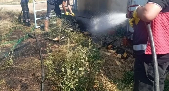 Ayşe Tokyaz cinayeti şüphelileri adliyeye sevk edildi: Cinayette 500 bin lira detayı