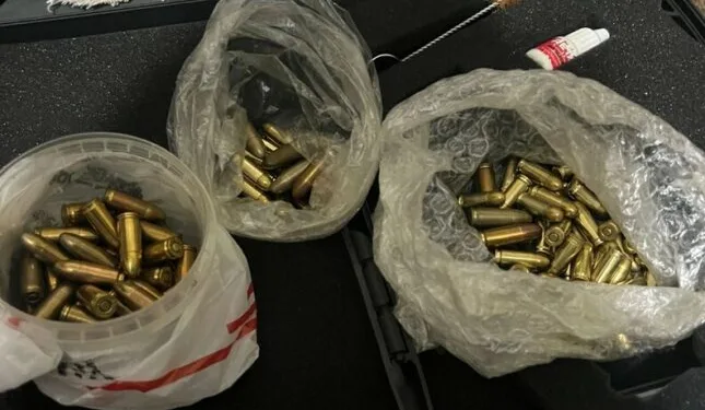 Ayşe Tokyaz cinayeti şüphelileri adliyeye sevk edildi: Cinayette 500 bin lira detayı
