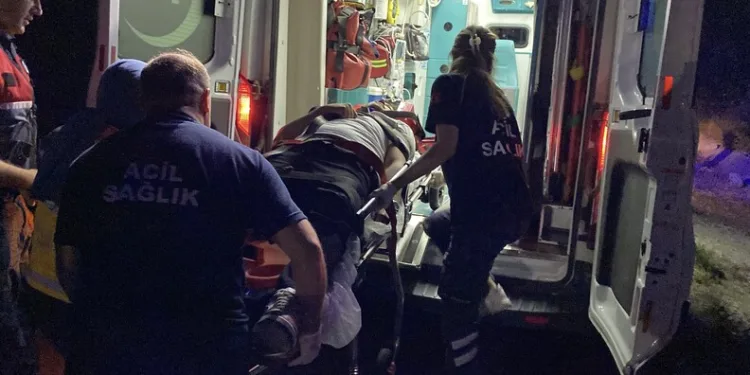 Kastamonu’da hafif ticari araç yamaca çarptı: 1 yaralı