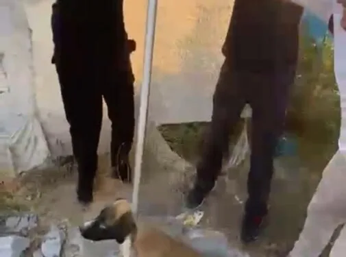 Aydın açıklarında 24 düzensiz göçmen yakalandı