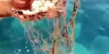 Eşini ütüyle öldüren zanlıya ağırlaştırılmış müebbet