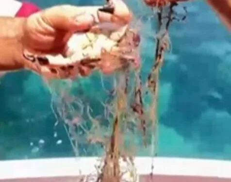 Eşini ütüyle öldüren zanlıya ağırlaştırılmış müebbet