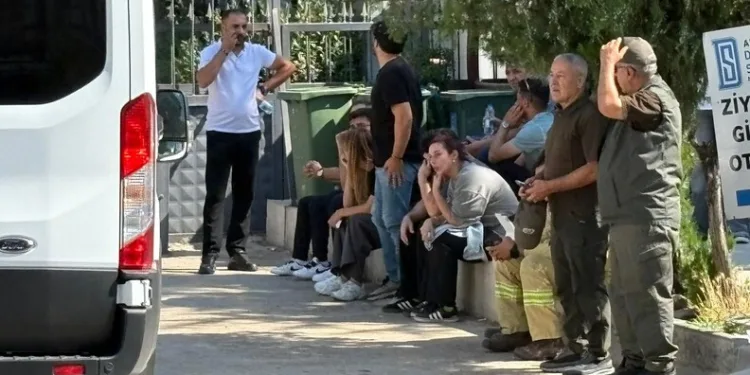 Line TV olay yerinde! Bilecik yangınında son durum