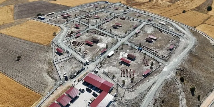 Kütahya’da sahipsiz sokak hayvanlarına doğal yaşam alanı