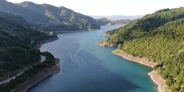 Kütahya’da sahipsiz sokak hayvanlarına doğal yaşam alanı