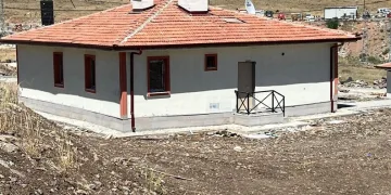 Kütahya’da sahipsiz sokak hayvanlarına doğal yaşam alanı