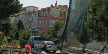 Kütahya’da sahipsiz sokak hayvanlarına doğal yaşam alanı
