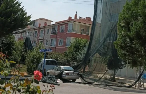Kütahya’da sahipsiz sokak hayvanlarına doğal yaşam alanı