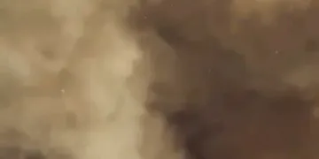 Kütahya’da sahipsiz sokak hayvanlarına doğal yaşam alanı