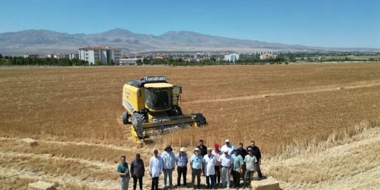 Kütahya’da sahipsiz sokak hayvanlarına doğal yaşam alanı