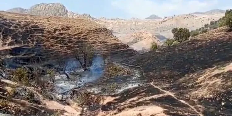 Kavgayı ayırmaya çalışırken öldüresiye dövülen genç 1 haftadır yaşam mücadelesi veriyor