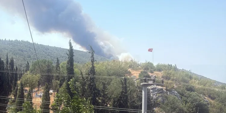 Balya yapan çiftçi anız yangınını fark etti: 5 dekar alan kül oldu