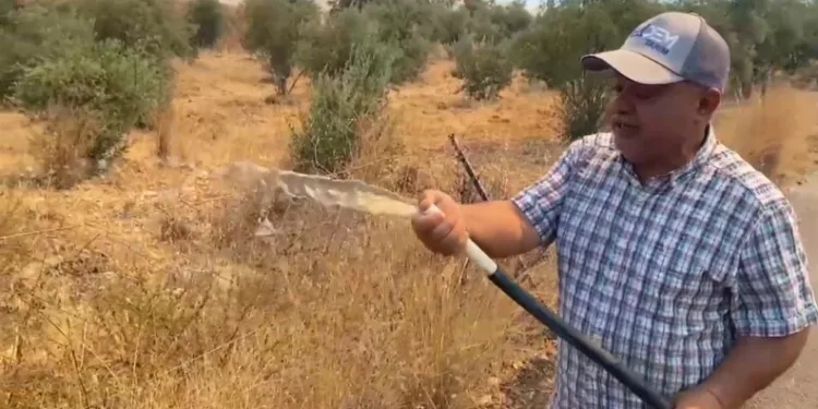 Bandırma’da ruhsatsız silah ve etil alkol ele geçirildi