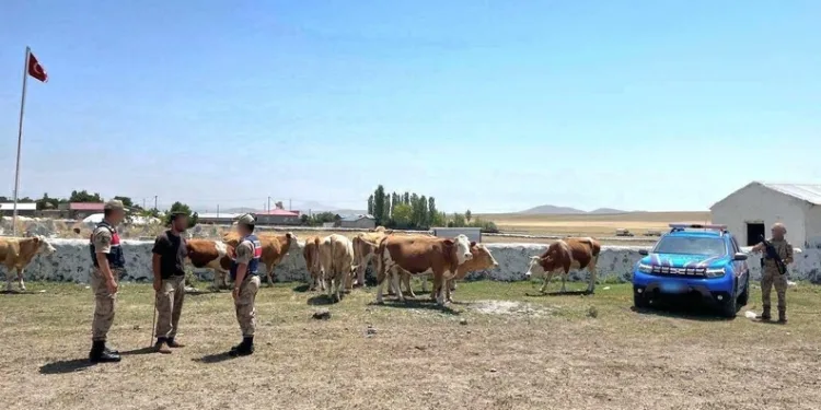 Bandırma’da ruhsatsız silah ve etil alkol ele geçirildi