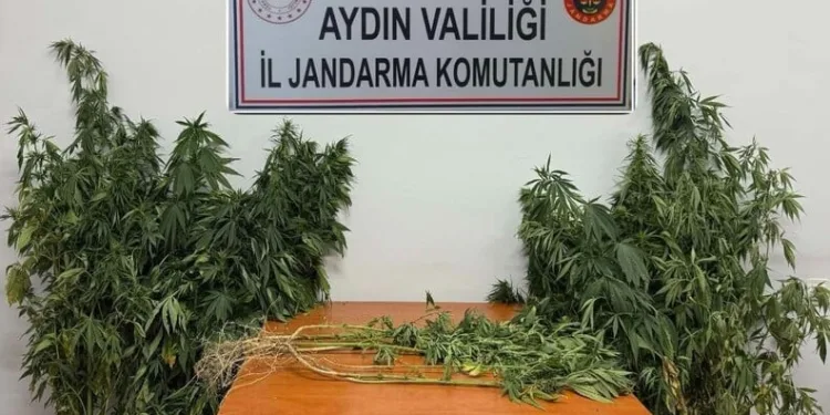 Bandırma’da polis kılığında 1 milyonluk dolandırıcılığa suçüstü