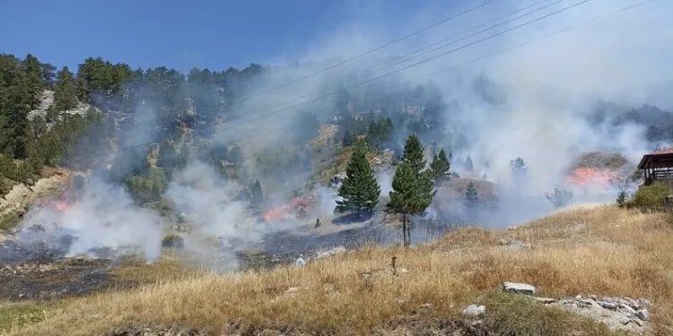 Alevler, evlere ulaşmadan söndürüldü