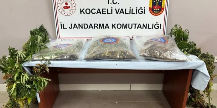 Alevler, evlere ulaşmadan söndürüldü