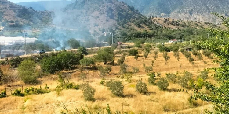 Alevler, evlere ulaşmadan söndürüldü