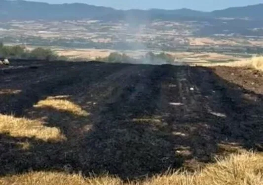 Kuşadası’nda alkollü sürücü tutuklandı