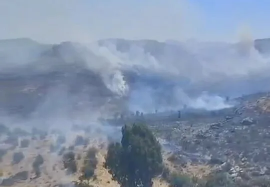 Bodrum’da otluk alanda çıkan yangın kısa sürede kontrol altına alındı