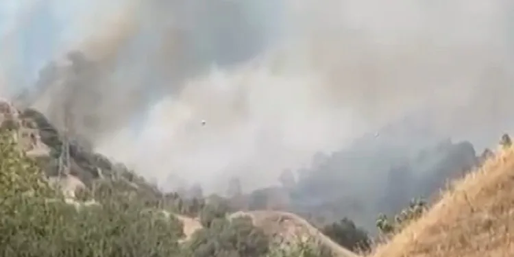Bodrum’da otluk alanda çıkan yangın kısa sürede kontrol altına alındı