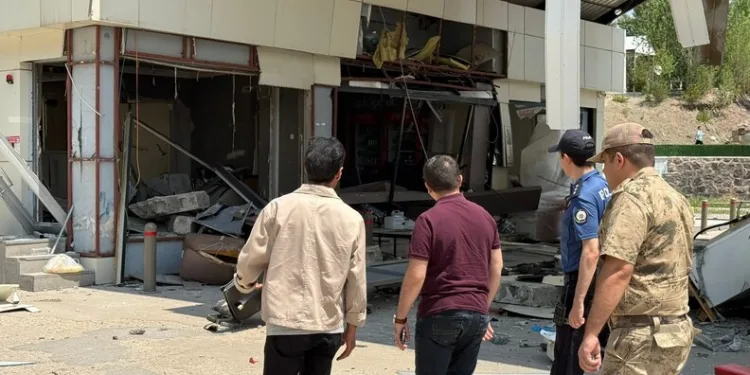 Bodrum’da otluk alanda çıkan yangın kısa sürede kontrol altına alındı