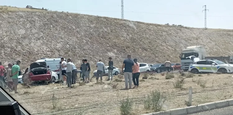 Bodrum’da otluk alanda çıkan yangın kısa sürede kontrol altına alındı