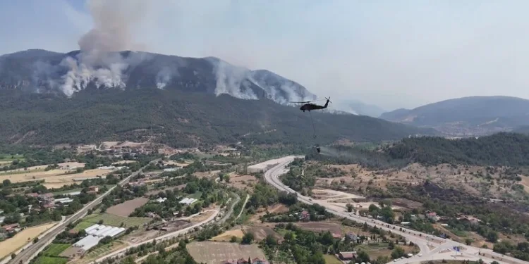 Bodrum’da otluk alanda çıkan yangın kısa sürede kontrol altına alındı