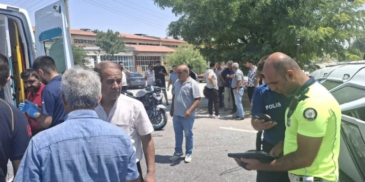 Bodrum’da otluk alanda çıkan yangın kısa sürede kontrol altına alındı