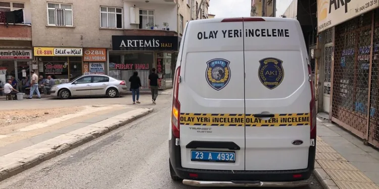 Bodrum’da otluk alanda çıkan yangın kısa sürede kontrol altına alındı