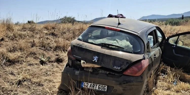 Bodrum’da otluk alanda çıkan yangın kısa sürede kontrol altına alındı