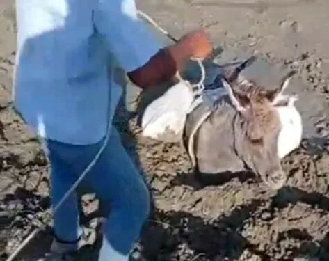 Bodrum’da otluk alanda çıkan yangın kısa sürede kontrol altına alındı