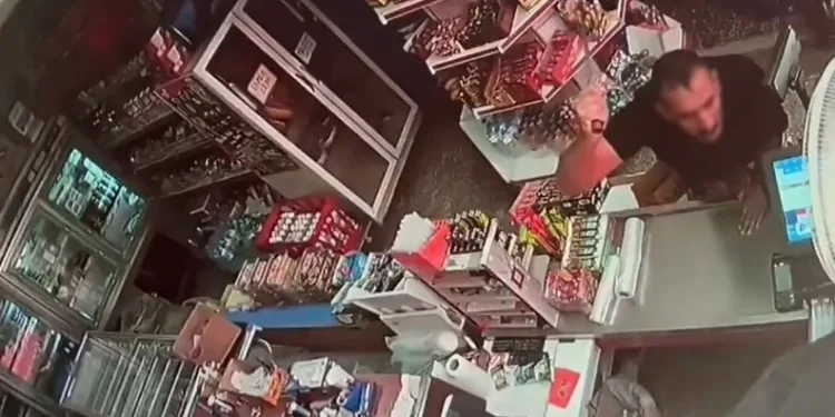 Bodrum’da otluk alanda çıkan yangın kısa sürede kontrol altına alındı