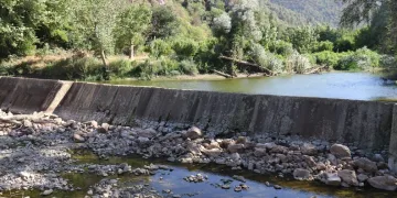 Kuraklık ve orman yangınları Düzmeşe Benti’nin adeta kuruttu