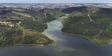 Kuraklık ve orman yangınları Düzmeşe Benti’nin adeta kuruttu