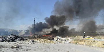 Kuraklık ve orman yangınları Düzmeşe Benti’nin adeta kuruttu