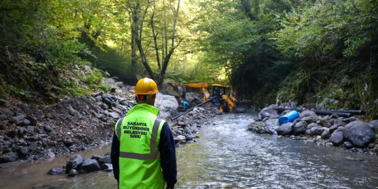 Kuraklık ve orman yangınları Düzmeşe Benti’nin adeta kuruttu