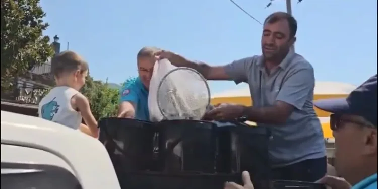 Kuraklık ve orman yangınları Düzmeşe Benti’nin adeta kuruttu